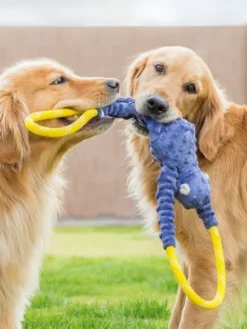 Peluche originale pour chien - Singe RopeTugz 🐒 - Zippy Paws