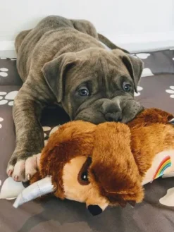 Peluche originale pour chien - Slothicorn tatoué 🦥🌈🦄 - Fringe PetShop