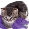 Peluche pour chat - Purr Pillow Kitty - Pet stages