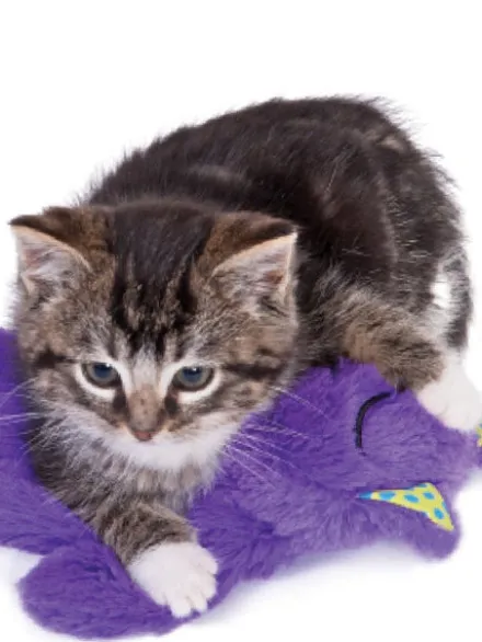 Peluche pour chat - Purr Pillow Kitty - Pet stages