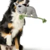 Peluche pour chien avec corde - Koala 🐨 - Hunter