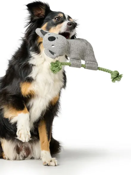 Peluche pour chien avec corde - Koala 🐨 - Hunter