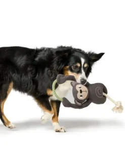 Peluche pour chien avec corde - Singe 🐒 - Hunter