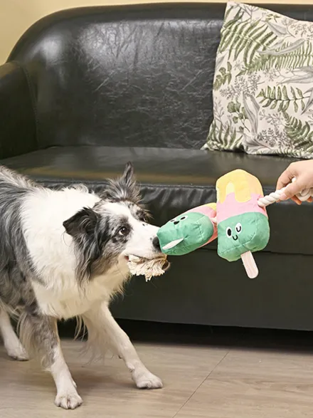 Peluche pour chien avec corde - Duo de Glace🍦🍦 - HugSmart