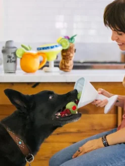 Peluche pour chien - Barktender - Pawtini 🍸 - Pet PLAY