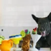 Peluche pour chien - Barktender - Pup-arita 🍹 - Pet PLAY