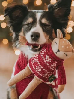 Peluche pour chien - Birka Rennes - Hunter