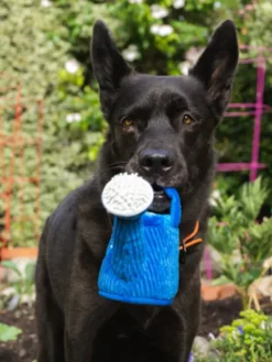 Peluche pour chien Blooming Buddies - Arrosoir 👩🏽‍🌾 - Pet PLAY