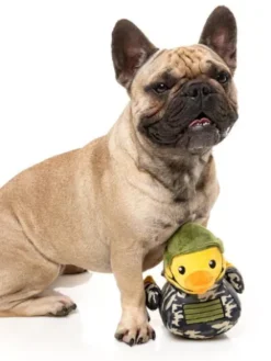 Peluche pour chien Canard de Bain - Militaire 🦆🪖 - Fuzzyard