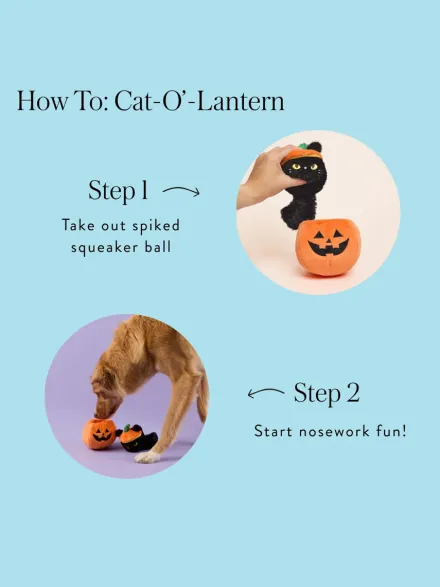 Peluche pour chien - Cat-O'Lantern 🎃🐈⬛ - The Foggy Dog