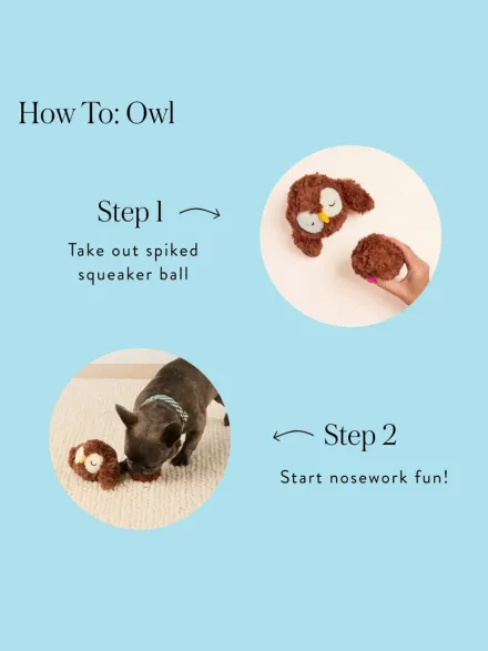 Peluche pour chien - Chouette 🦉 - The Foggy Dog
