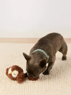Peluche pour chien - Chouette 🦉 - The Foggy Dog
