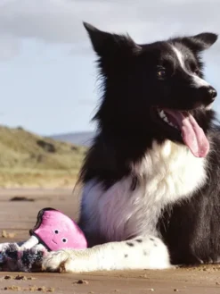 Peluche pour chien écologique - Pieuvre - Beco Pets