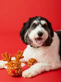 Peluche pour chien de Noël - Rennes 🦌 - The Foggy Dog