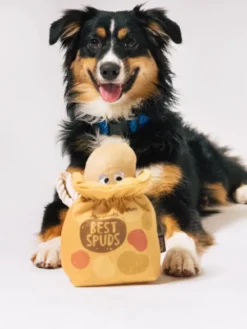 Peluche pour chien - Farm Fresh - Pomme de terre 🥔 - Pet PLAY