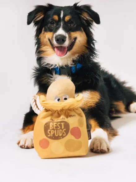 Peluche pour chien - Farm Fresh - Pomme de terre 🥔 - Pet PLAY