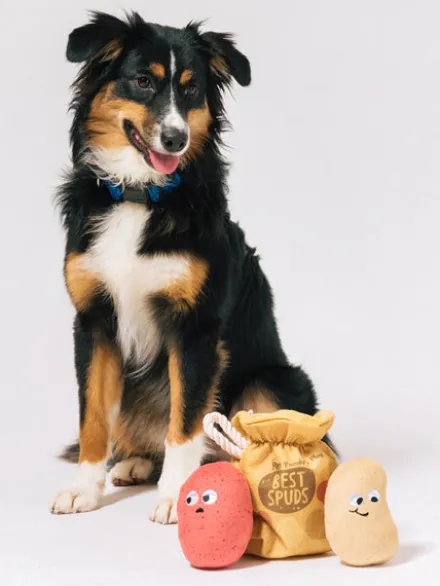 Peluche pour chien - Farm Fresh - Pomme de terre 🥔 - Pet PLAY