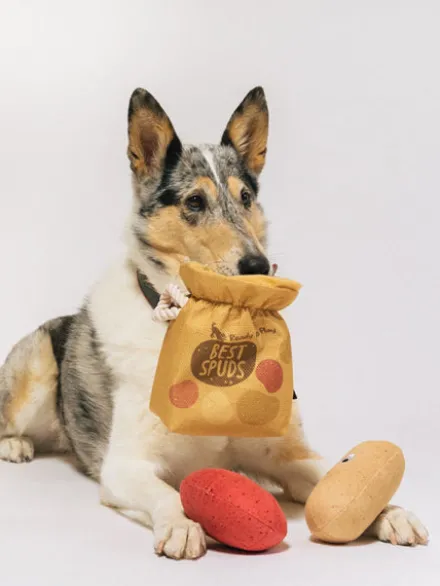 Peluche pour chien - Farm Fresh - Pomme de terre 🥔 - Pet PLAY