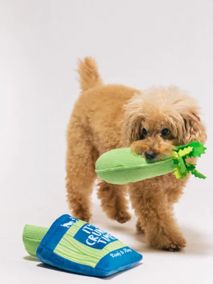 Peluche pour chien - Farm Fresh - Céleri - Pet PLAY