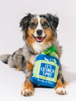 Peluche pour chien - Farm Fresh - Céleri - Pet PLAY
