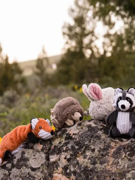Peluche pour chien - Forest Friends - Hérisson 🦔 - Pet PLAY