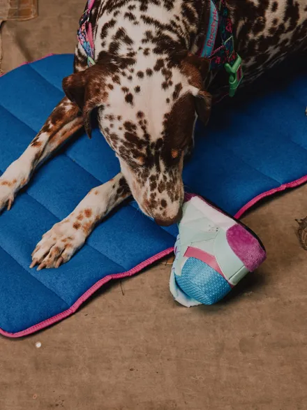 Peluche pour chien - Freestyle Plus 2en1 👟 - Reebok x Zee.dog