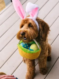 Peluche pour chien - Hippity Hoppity - Panier de pâques 🧺