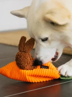 Peluche pour chien - Hippity Hoppity - Funny Bunnies 🥕