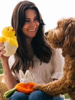 Peluche pour chien - Hippity Hoppity - Poussin dans son œuf 🐣