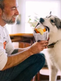 Peluche pour chien - international classic - Fish and Chips 🐟🍟 - Pet PLAY