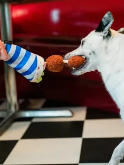 Peluche pour chien - international classic - Falafel 🥙 - Pet PLAY