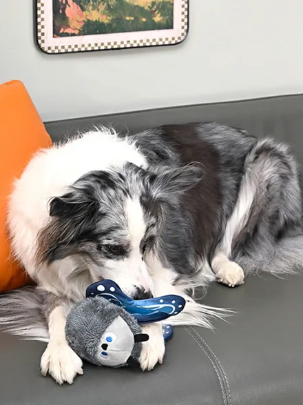 Peluche pour chien - Jungle Tails Papillon 🦋 - HugSmart