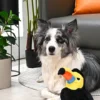 Peluche pour chien - Jungle Tails Toucan - HugSmart