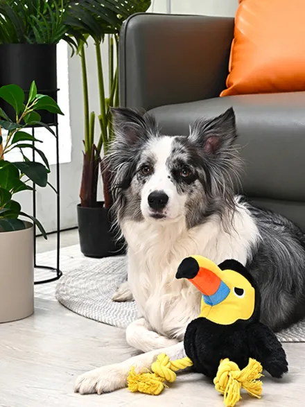 Peluche pour chien - Jungle Tails Toucan - HugSmart
