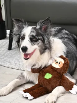Peluche pour chien - Jungle Tails Parresseux 🦥 - HugSmart