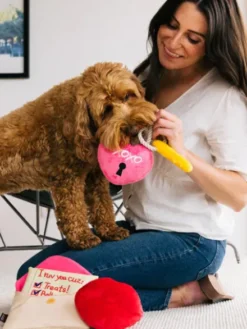 Peluche pour chien - Love Bug - Cadenas 🔒💕 - Pet PLAY