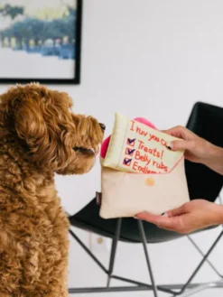 Peluche pour chien - Love Bug - Lettre d'amour 💌 - Pet PLAY