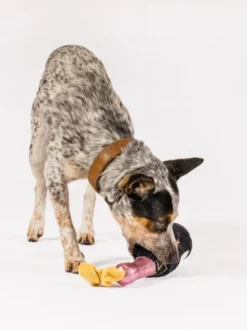 Peluche pour chien - LuxeHotel - DogWine 🍾 - Pet PLAY
