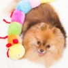 Peluche pour chien - Milles Pattes 7 squeakers - Zippy Paws