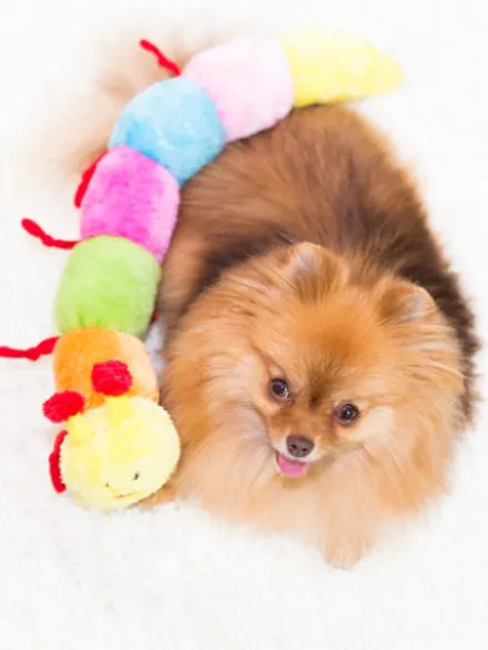 Peluche pour chien - Milles Pattes 7 squeakers - Zippy Paws