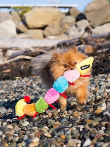 Peluche pour chien - Milles Pattes 7 squeakers - Zippy Paws