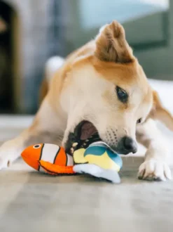 Peluche pour chien - Ocean Buddies Corail 🪸 - Pet PLAY