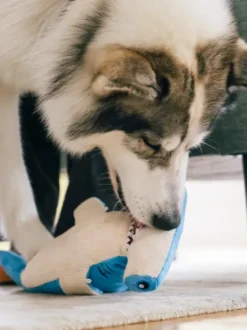 Peluche pour chien - Ocean Buddies Requin marteau - Pet PLAY