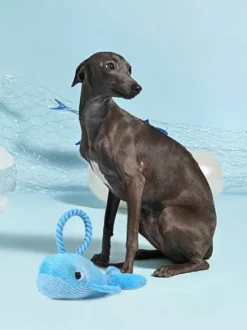 Peluche pour chien - Ocean Pals Baleine 🐳 - HugSmart