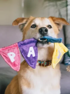 Peluche pour chien - Party Animals 🥳 Banderole d'anniversaire - Pet PLAY