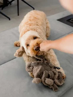Peluche pour chien - Pieuvre Rose - District 70