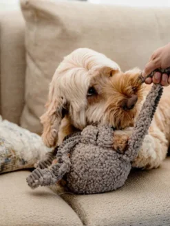 Peluche pour chien - Pieuvre Taupe - District 70