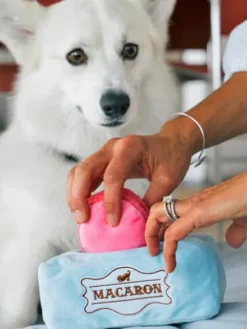 Peluche pour chien - Pup Cup Café - Macarons - Pet PLAY