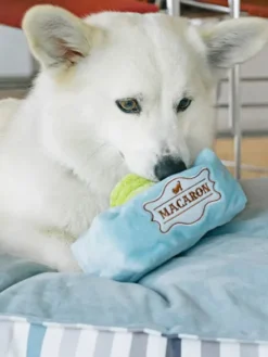 Peluche pour chien - Pup Cup Café - Macarons - Pet PLAY