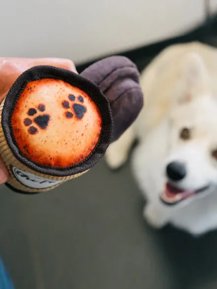Peluche pour chien - Pup Cup Café - Latte à emporter ☕ - Pet PLAY
